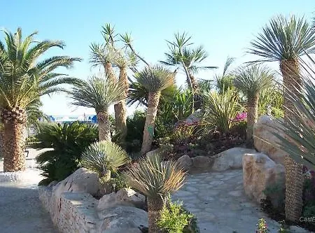 Soraya San Benedetto del Tronto