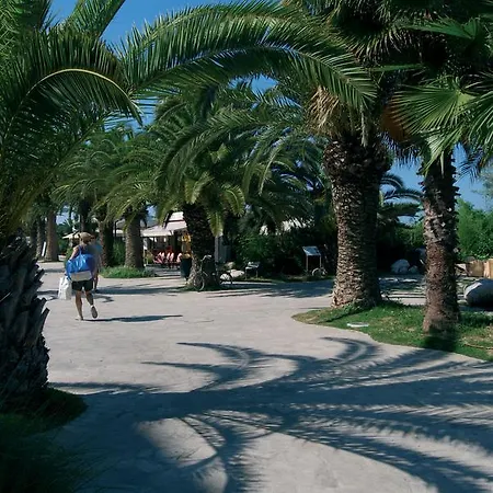 Soraya